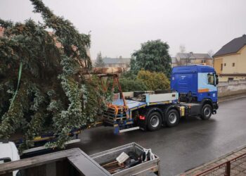 MOJE LOUNY TV: PŘEVOZ VÁNOČNÍHO STROMU