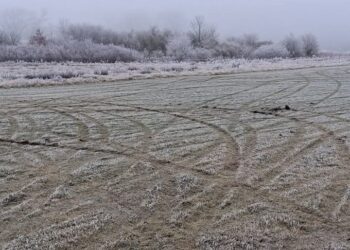 NAJDĚME VINÍKA, POMOZME MODELÁŘŮM