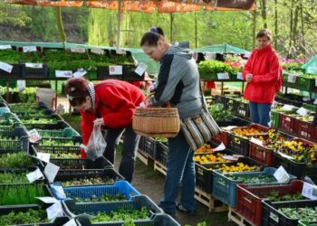 DEJTE SI DO SVÝCH KALENDÁŘŮ