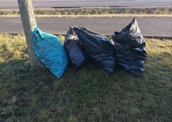 TAKHLE VZNIKAJÍ DIVOKÉ SKLÁDKY