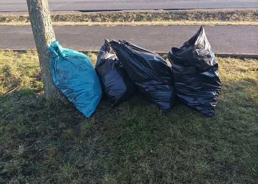 TAKHLE VZNIKAJÍ DIVOKÉ SKLÁDKY