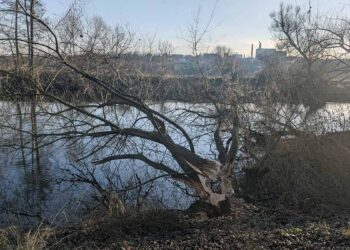 OHŘI KOLEM LUŽERAD KRALUJE BOBR