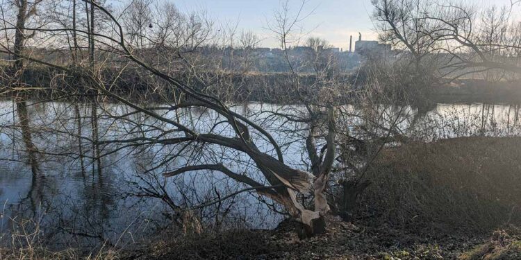 OHŘI KOLEM LUŽERAD KRALUJE BOBR