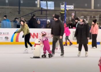 JAK SE BRUSLÍ V ÚNORU ⛸️⛸️