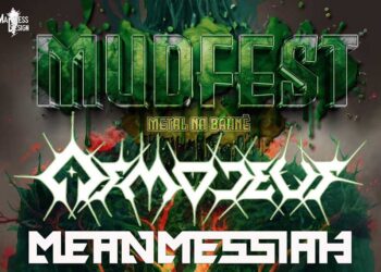 NÁŘEZ VE STROMOVCE