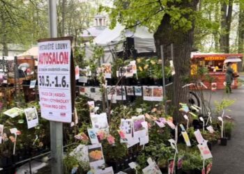 MOJE LOUNY TV: DŮM A ZAHRADA/JARO