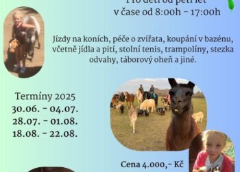 PŘÍMĚSTSKÝ TÁBOR S KOŇMI