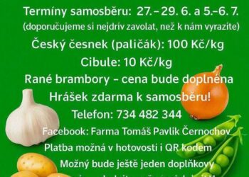 POZOR! SAMOSBĚR ČESNEKU!