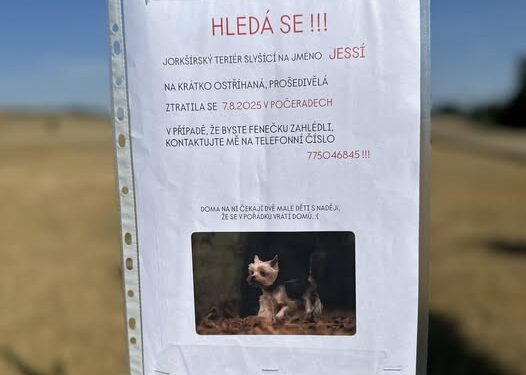 HLEDÁ SE PEJSEK
