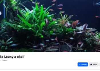 NOVÁ LOUNSKÁ SKUPINA – AKVARISTIKA