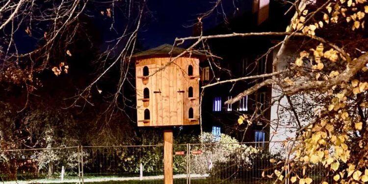 HOLUBNÍKY SLOUŽÍ JAKO DOPLNĚK