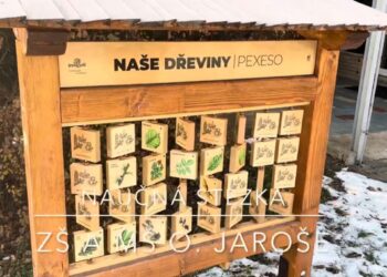 NAUČNÁ STEZKA NA ZŠ