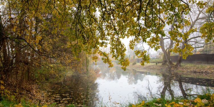 FOTOGRAFIE P. TOMKA: PODZIMNÍ TŮŇ