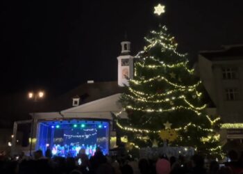 ROZSVÍCENÍ VÁNOČNÍHO STROMU