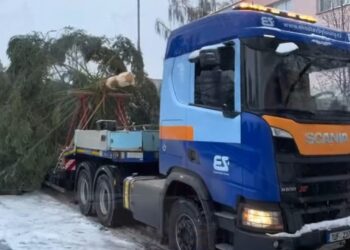 PŘEVÁŽENÍ VÁNOČNÍHO STROMU