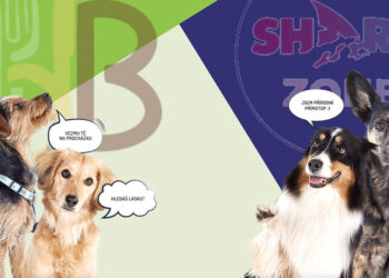 SPORTUJTE A PODPOŘTE TLAPKY!