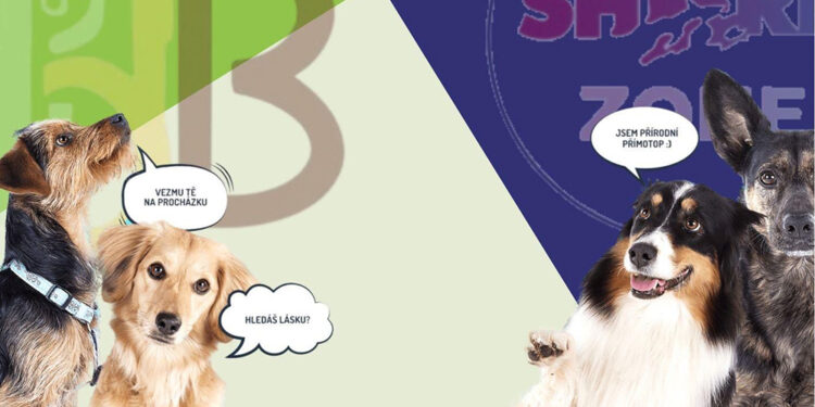 SPORTUJTE A PODPOŘTE TLAPKY!