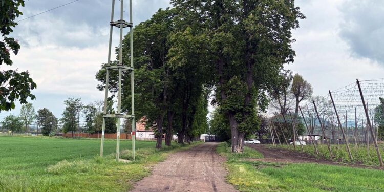 OPRAVA CESTY DO LUŽERAD DO KONCE BŘEZNA?