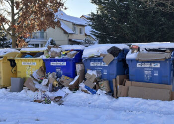 PROBLÉMY SE SVOZEM ODPADU