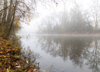 ÚTERNÍ FOTOGRAFIE P. TOMKA