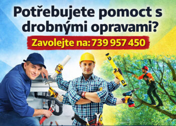 POTŘEBUJETE POMOC V DOMÁCNOSTI