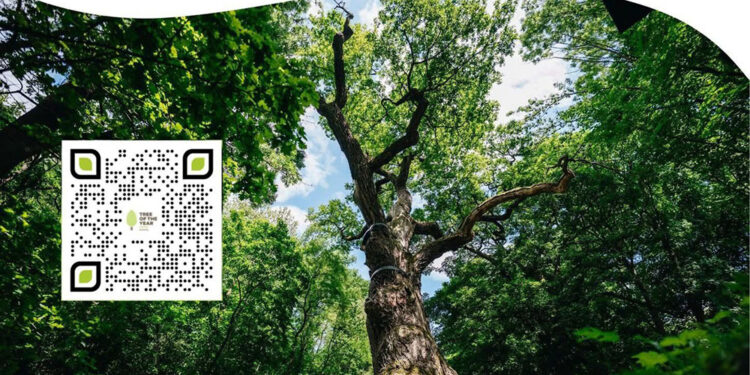 PODPOŘTE OLDŘICHŮV DUB!