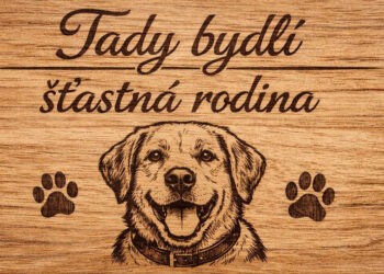 GRAVÍROVÁNÍ NA DŘEVO