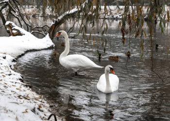 ÚTERNÍ FOTOGRAFIE P. TOMKA