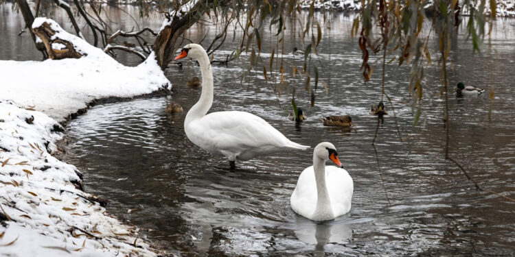 ÚTERNÍ FOTOGRAFIE P. TOMKA