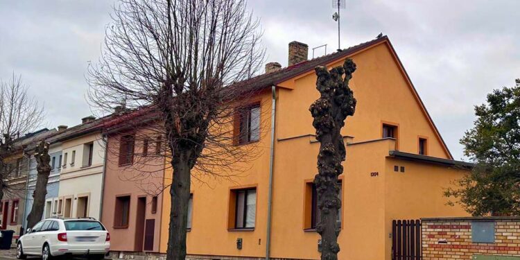 OZDRAVNÝ ŘEZ STROMŮ