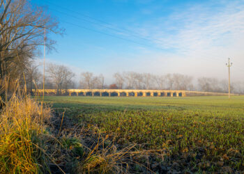 ÚTERNÍ FOTOGRAFIE P. TOMKA