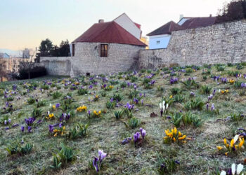 JARO DORAZILO DO LOUN