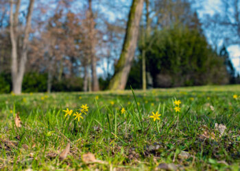 ÚTERNÍ FOTOGRAFIE P. TOMKA