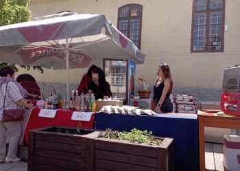 DOVALTE NA VALE 2026