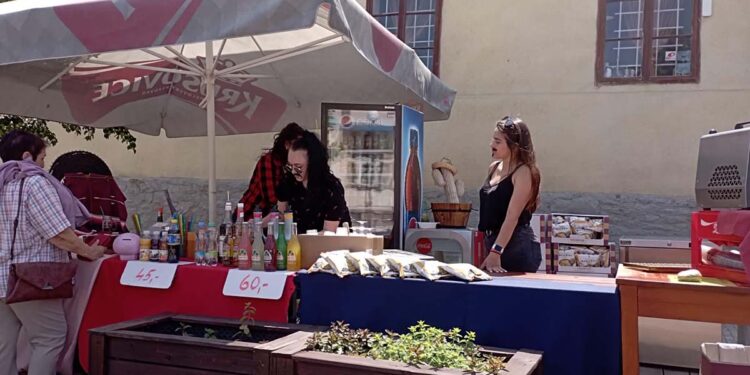 DOVALTE NA VALE 2026