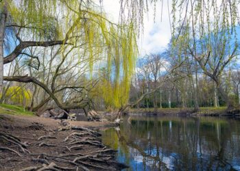 ÚTERNÍ FOTOGRAFIE P. TOMKA