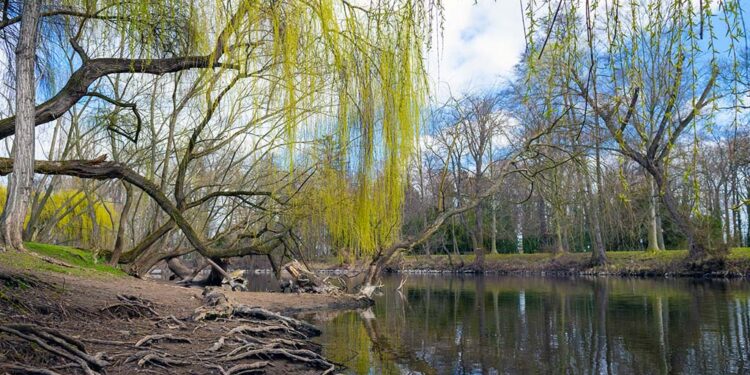 ÚTERNÍ FOTOGRAFIE P. TOMKA