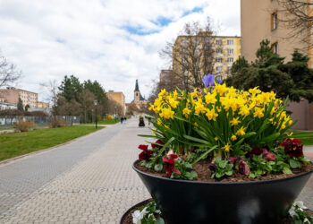 ÚTERNÍ FOTOGRAFIE P. TOMKA