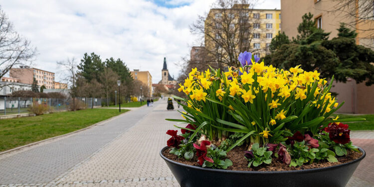 ÚTERNÍ FOTOGRAFIE P. TOMKA