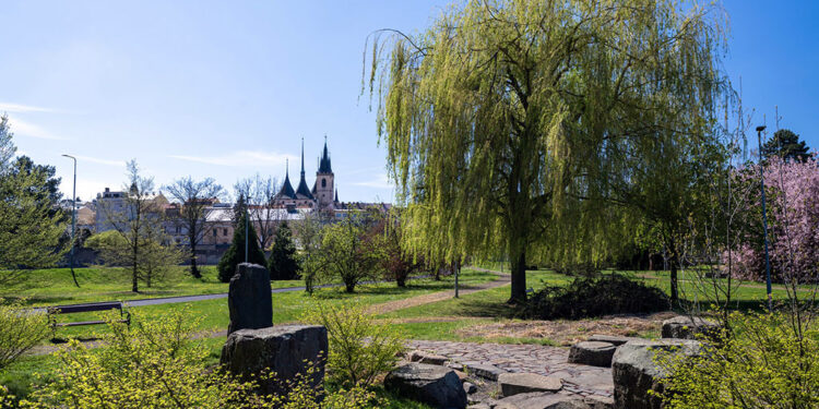 ÚTERNÍ FOTOGRAFIE P. TOMKA