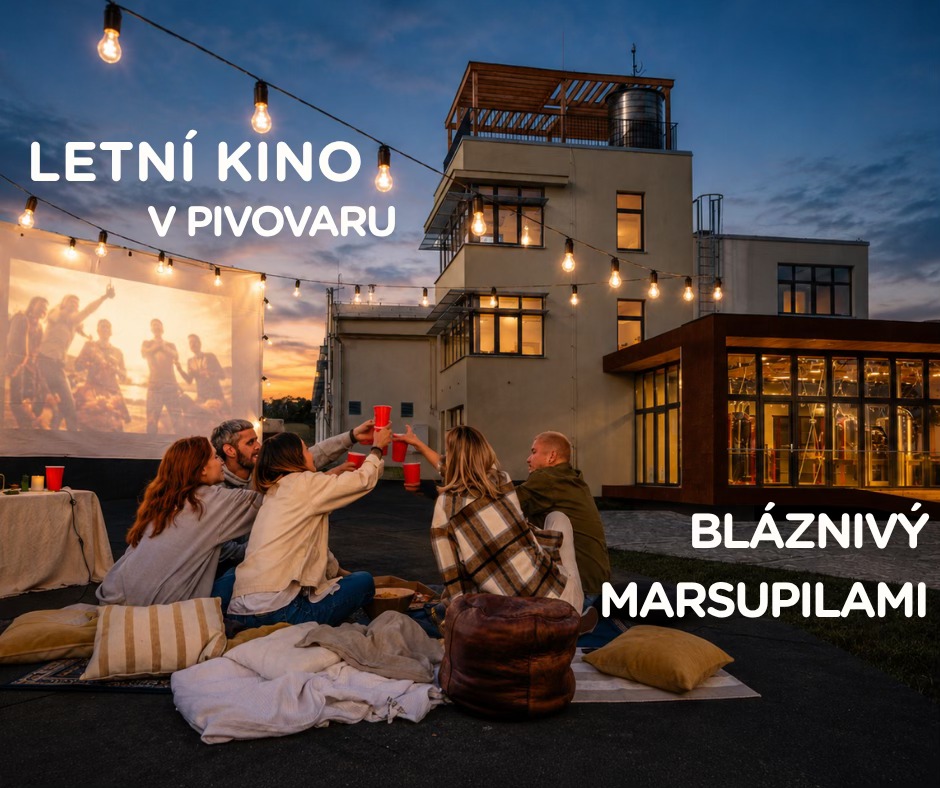 bláznivý