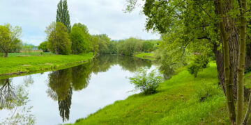 POČEDĚLSKÁ ŠLÁPOTA