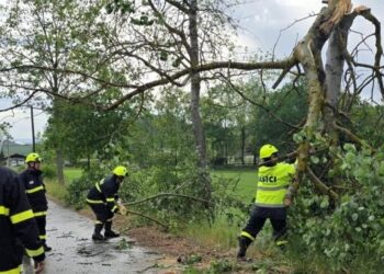HASIČI ZASAHOVALI KVŮLI BOUŘCE