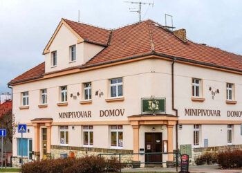 MINIPIVOVAR DOMOV