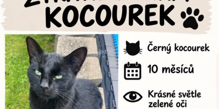 HLEDÁ SE KOCOUREK