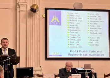 USTAVUJÍCÍ ZASTUPITELSTVO V LISTOPADU